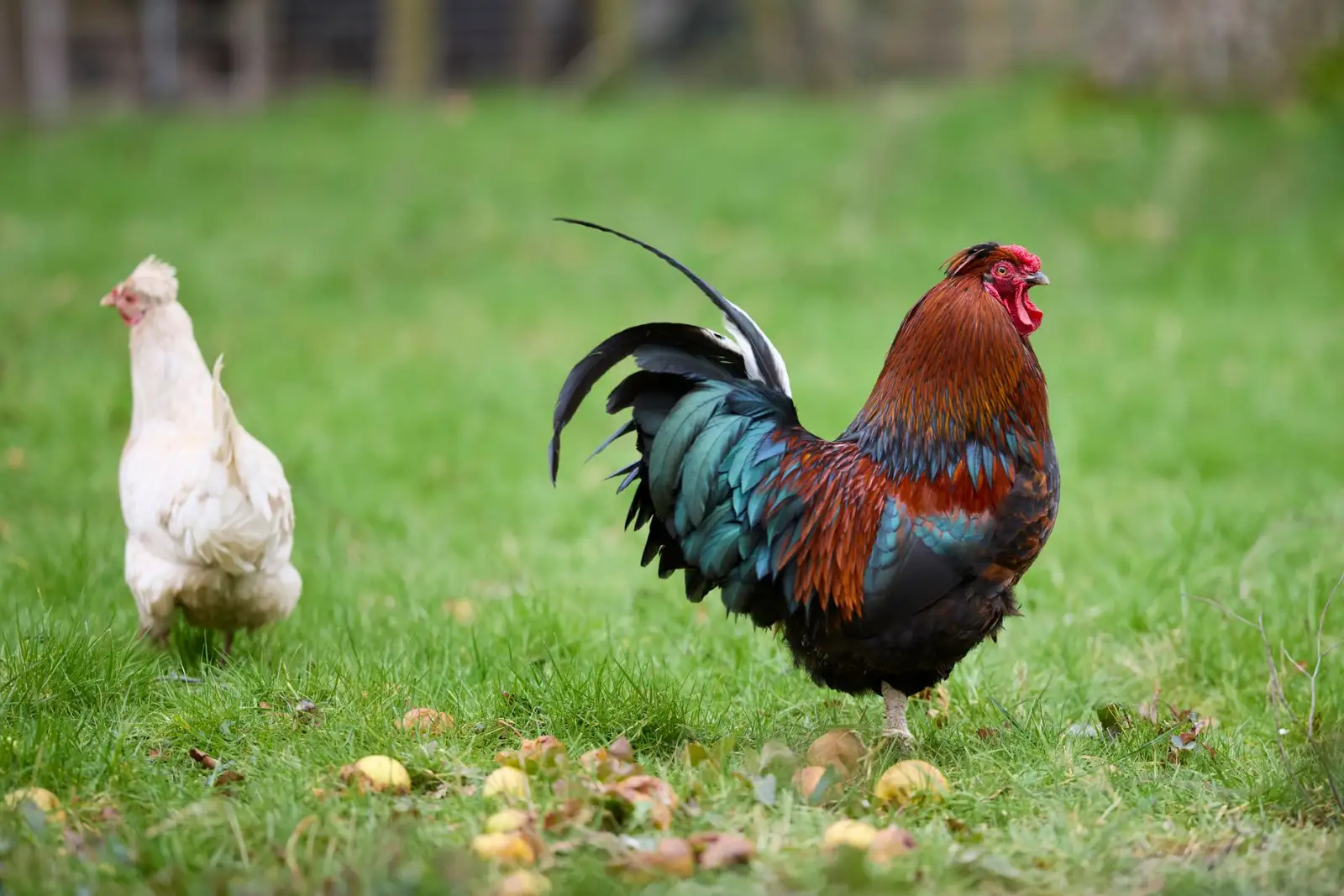 锻压机械制造工业配件定制方案及质量控制流程解析