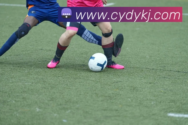 九游官网官方入口发展历程